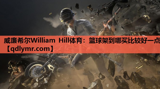篮球架到哪买比较好一点