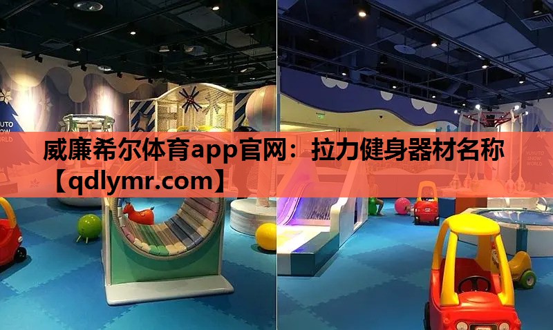 拉力健身器材名称